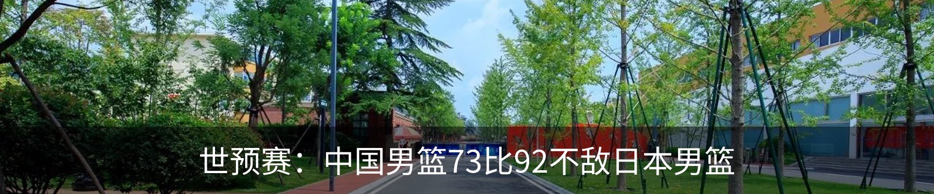 新闻动态