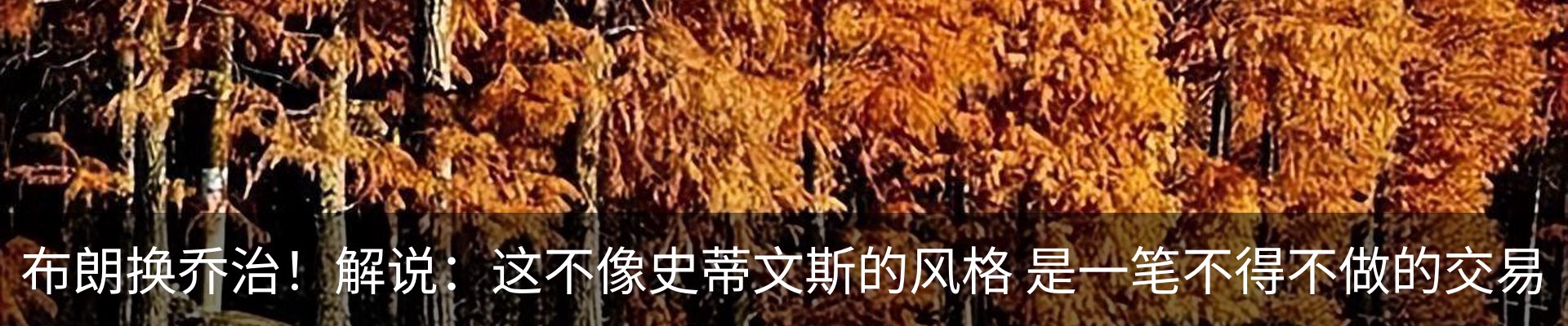 新闻动态