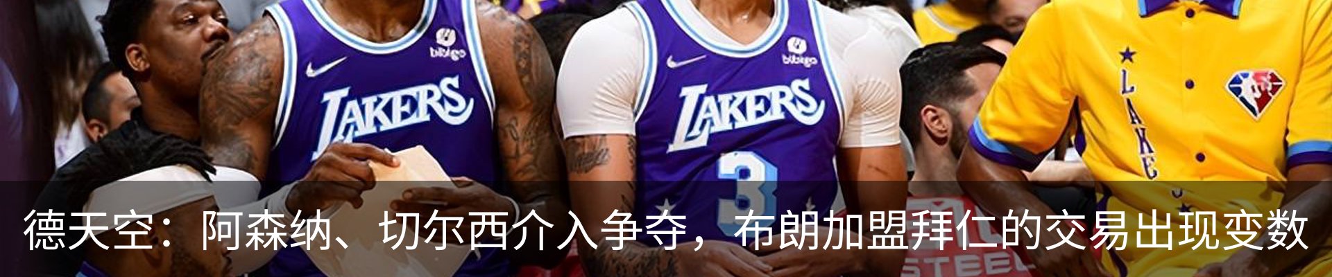 新闻动态