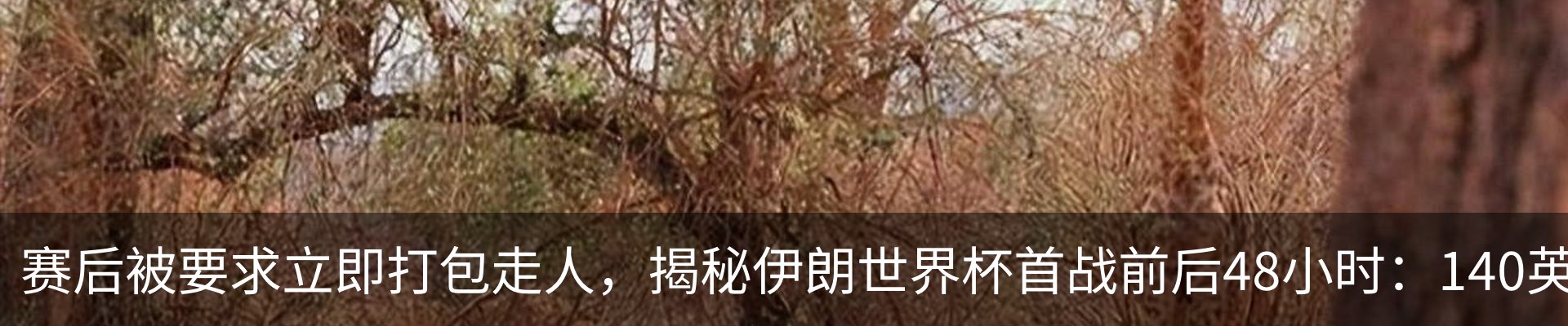 新闻动态